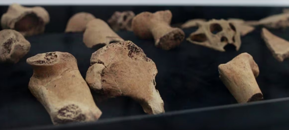 Muapa, el nuevo museo arqueológico de Palmar de Varela que honra el legado indígena del Atlántico