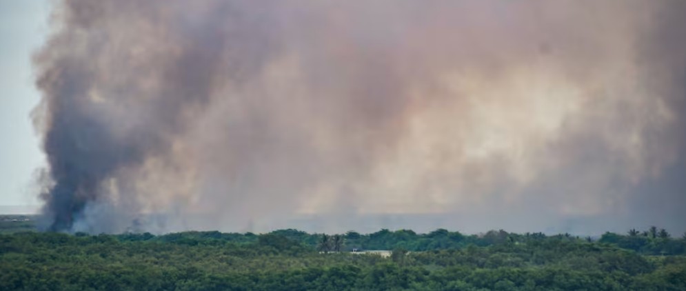 Ideam declara alerta roja por riesgo de incendios forestales en Barranquilla y nueve municipios del Atlántico