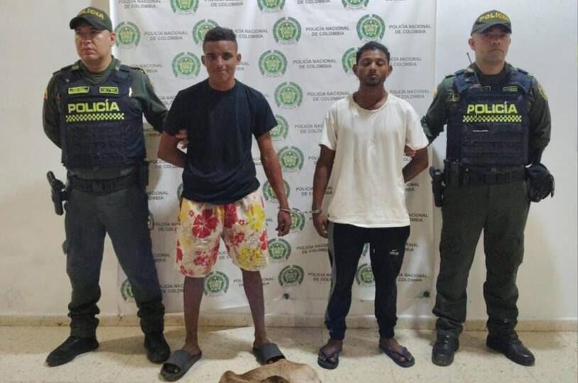 Capturan a dos jóvenes por robo de ganado en Palmar de Varela